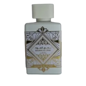 erasebg transformed 55