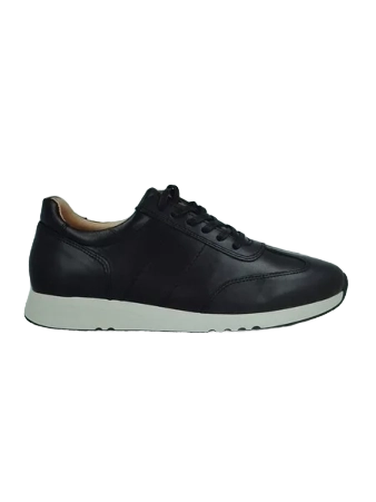 erasebg transformed 25