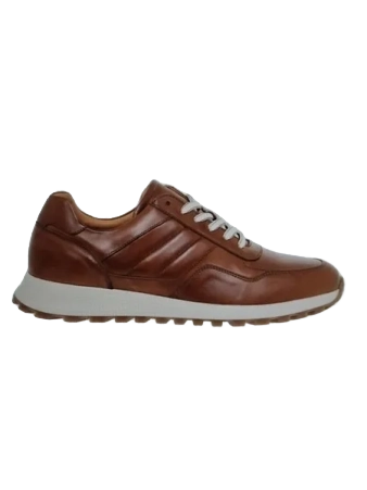 erasebg transformed 36 1