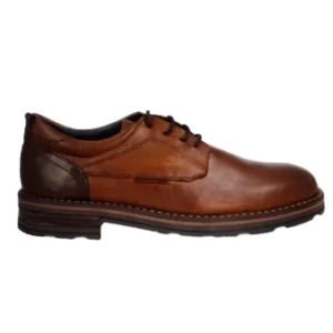 erasebg transformed 61