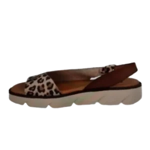 erasebg transformed 72