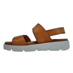 erasebg transformed 74