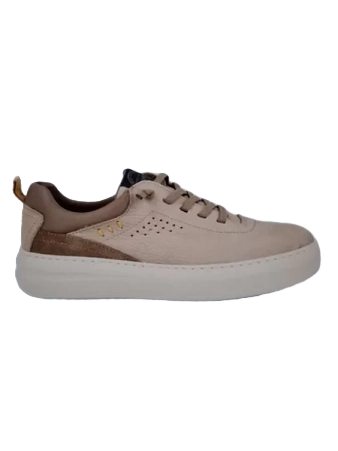 erasebg transformed 86