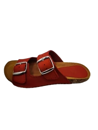 erasebg transformed 2025 11 07t163128.311