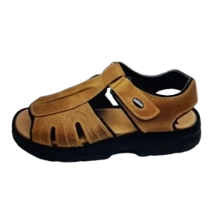 erasebg transformed 79